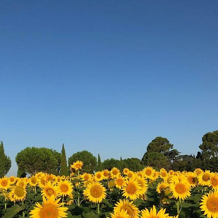 VillesiscleDomaine De La Forcate公寓 外观 照片