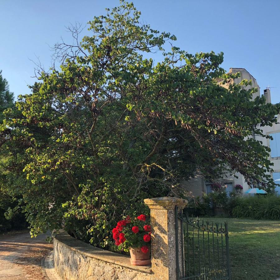 VillesiscleDomaine De La Forcate公寓 外观 照片