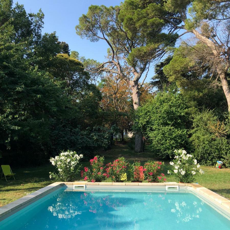 VillesiscleDomaine De La Forcate公寓 外观 照片