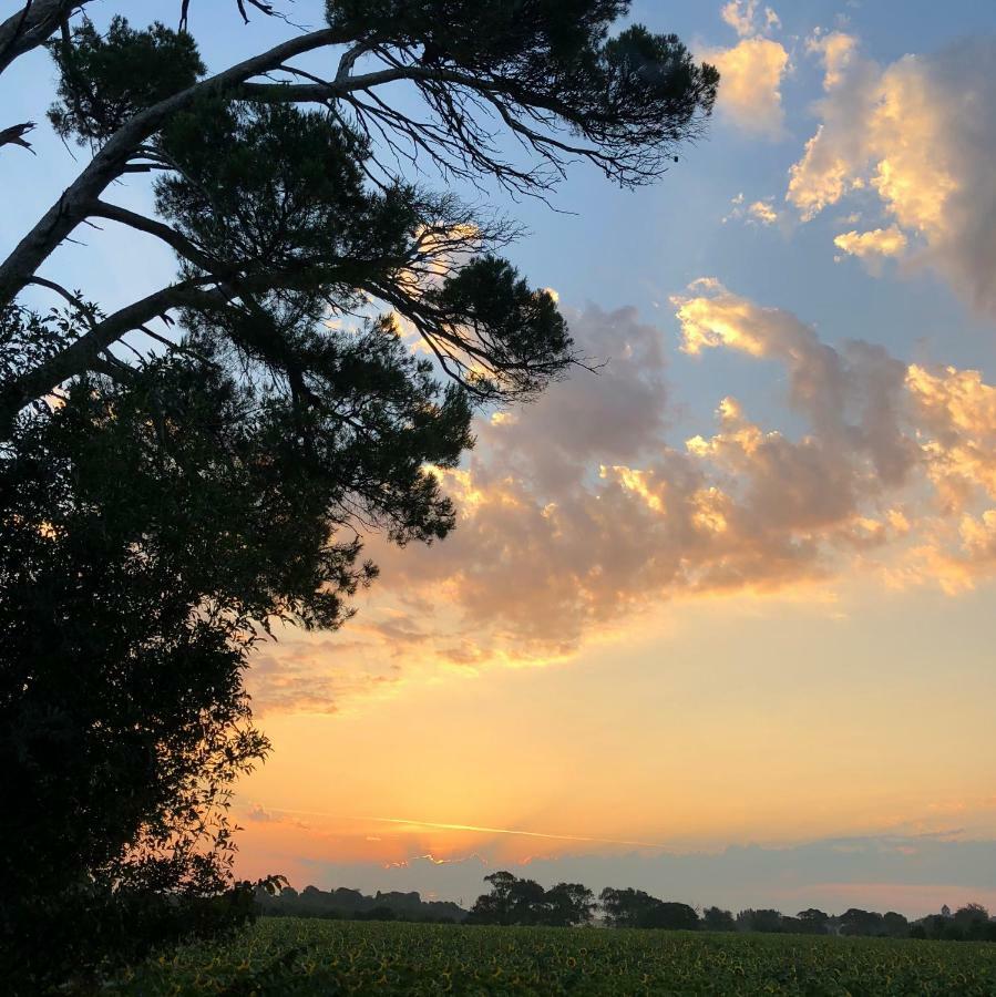 VillesiscleDomaine De La Forcate公寓 外观 照片