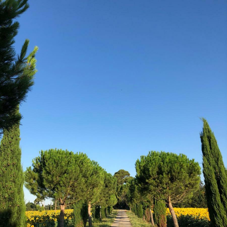 VillesiscleDomaine De La Forcate公寓 外观 照片